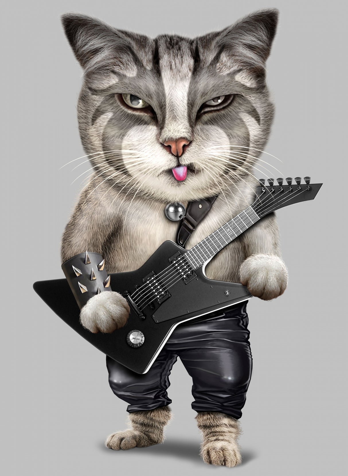 heavy metal cat Poster och Canvastavla
