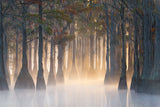 The Light From Within Poster och Canvastavla