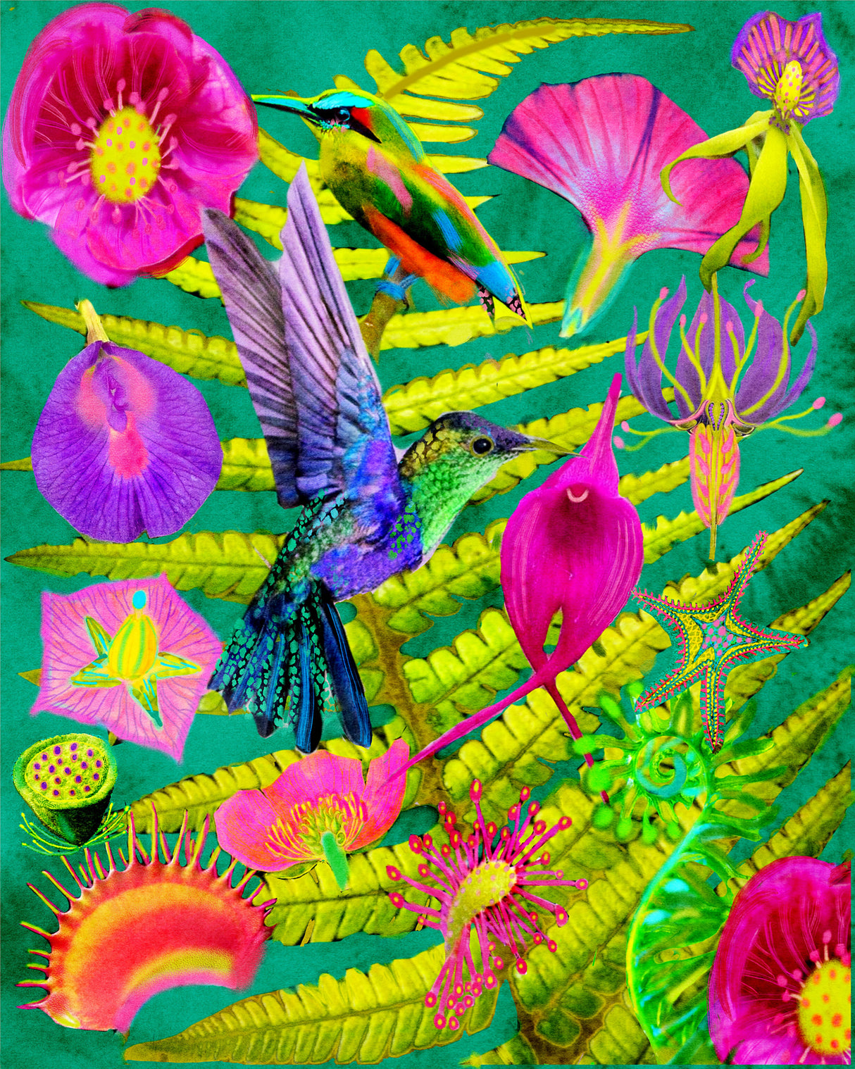 Forest Birds.png Poster och Canvastavla
