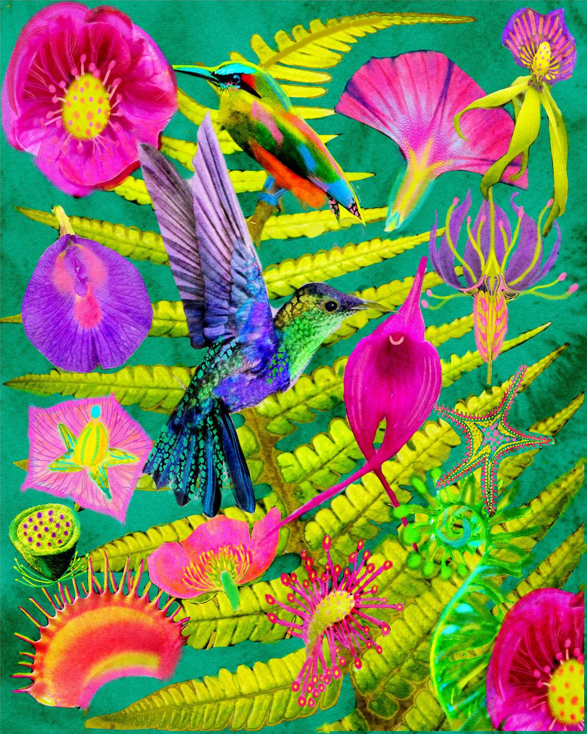Forest Birds.png Poster och Canvastavla