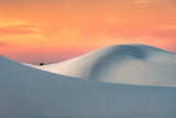 White Sands Poster och Canvastavla