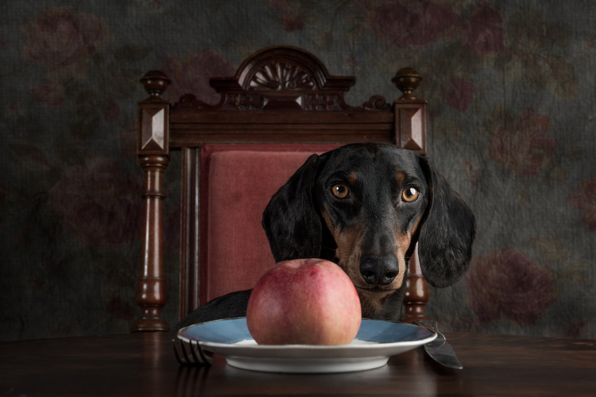 An Apple a Day keeps the Doctor away... Poster och Canvastavla