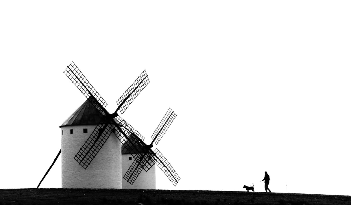 The man, the dog and the windmills Poster och Canvastavla