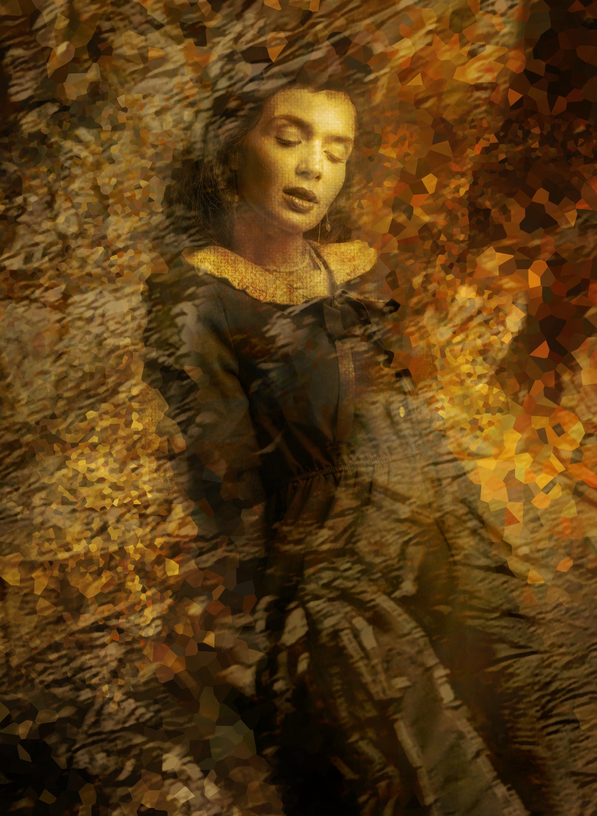 The woman in gold Poster och Canvastavla