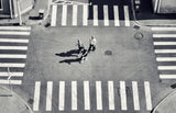 Crossing by Poster och Canvastavla