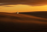 on the dunes Poster och Canvastavla