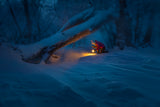 Treasure Hunt in The Snow Poster och Canvastavla