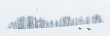 Winter Wonderland Poster och Canvastavla