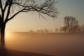 Sunrise in Valley Forge National Park Poster och Canvastavla
