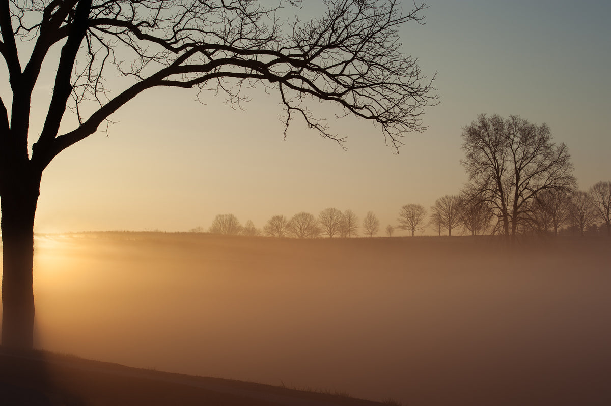 Sunrise in Valley Forge National Park Poster och Canvastavla
