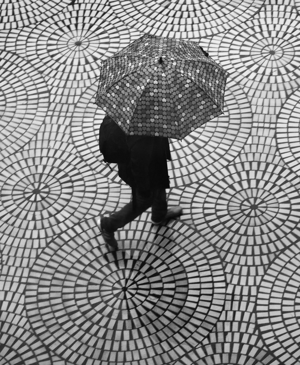 Rainy day patterns on the Embarcadero Poster och Canvastavla