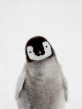 Peekaboo Baby Penguin Poster och Canvastavla