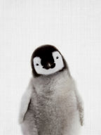 Peekaboo Baby Penguin Poster och Canvastavla