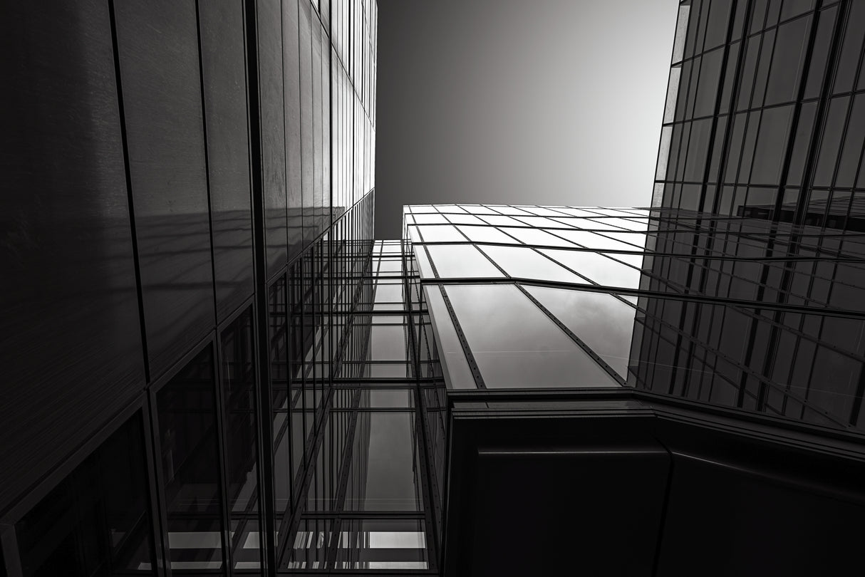 The Light Above Poster och Canvastavla