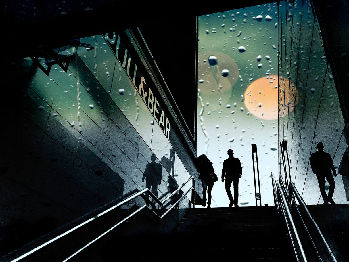 Full Moon Poster och Canvastavla