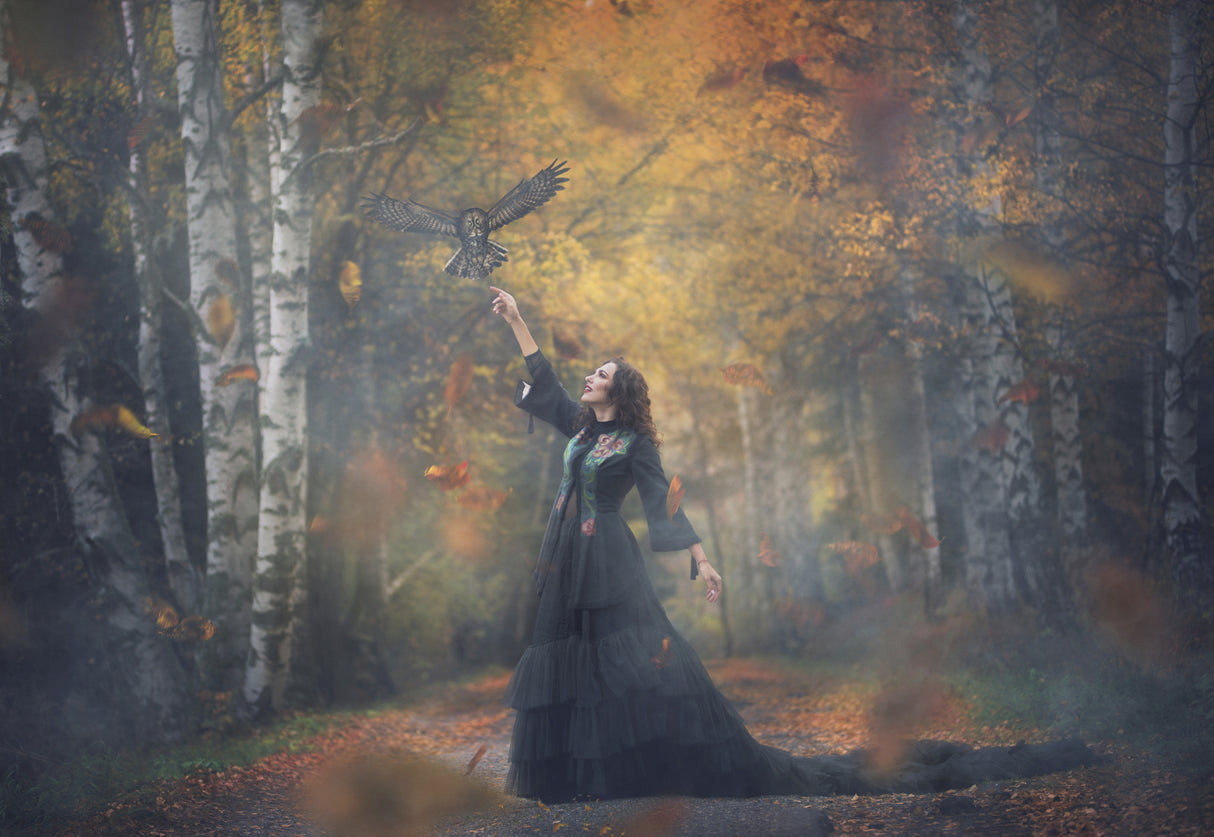 autumn girl Poster och Canvastavla