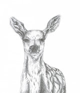 Deer Poster och Canvastavla