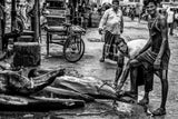 Shark selling point in a market in Bangladesh Poster och Canvastavla