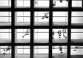 The Glass Ceiling Poster och Canvastavla