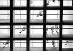 The Glass Ceiling Poster och Canvastavla