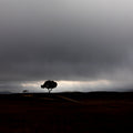 A storm will be coming Poster och Canvastavla