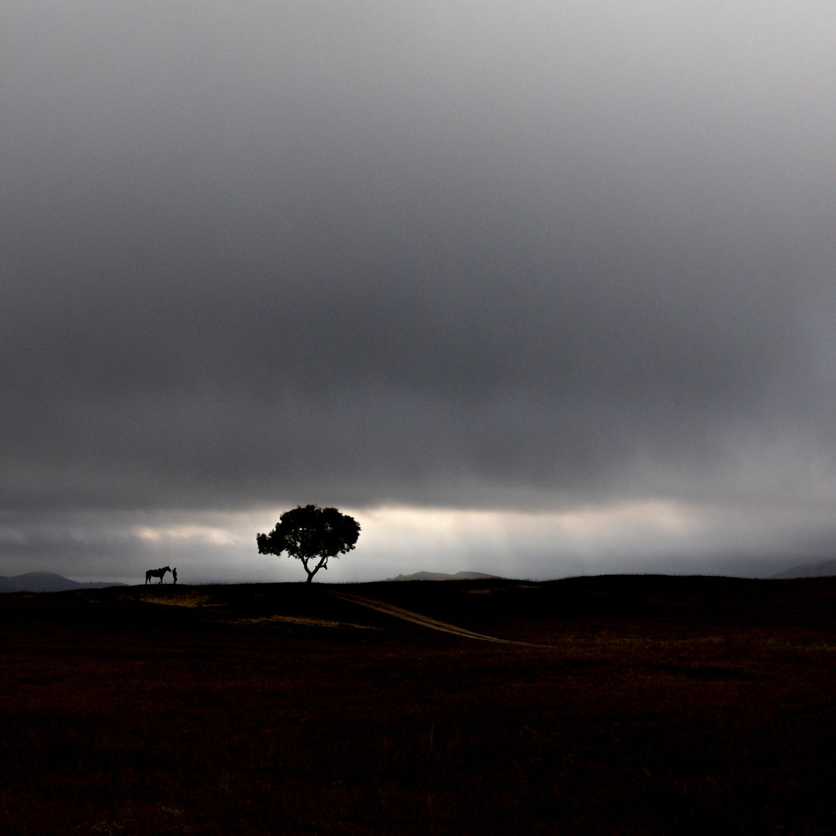 A storm will be coming Poster och Canvastavla