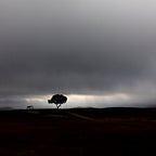 A storm will be coming Poster och Canvastavla