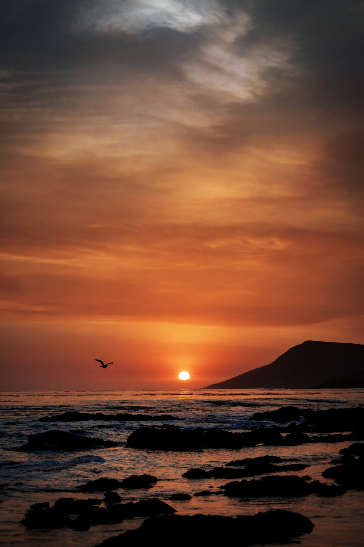 Orange Sunset Poster och Canvastavla