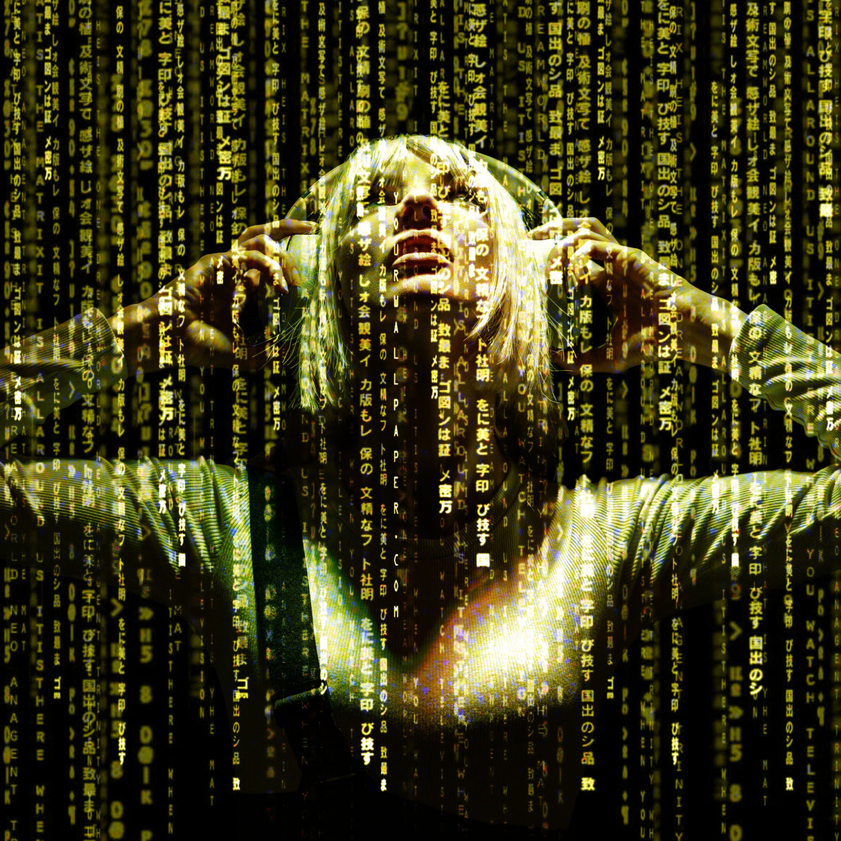 Enter the Matrix Poster och Canvastavla