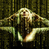 Enter the Matrix Poster och Canvastavla