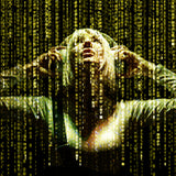 Enter the Matrix Poster och Canvastavla