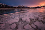 frozen bubbles Poster och Canvastavla