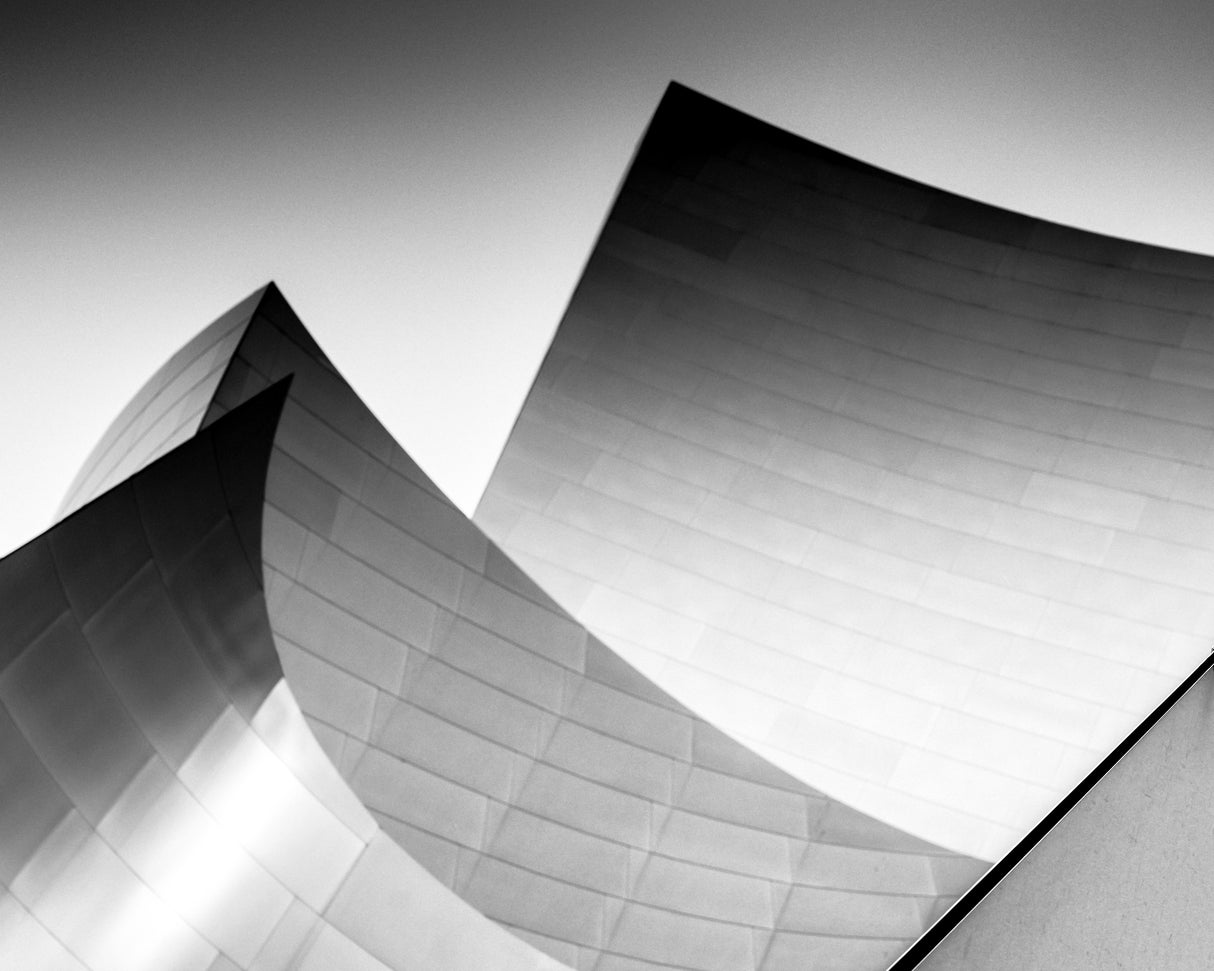 Walt Disney Concert Hall - study XII Poster och Canvastavla