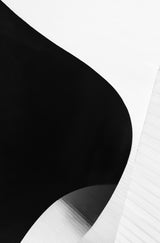 Blackandwhite Poster och Canvastavla