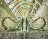 Escalator Poster och Canvastavla
