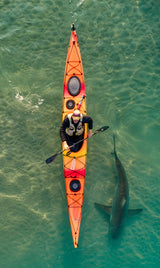 Intimate shark encounter Poster och Canvastavla