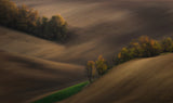 Moravian autumn Poster och Canvastavla