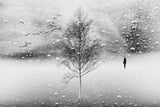 Winter Rain Poster och Canvastavla