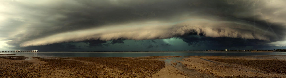 Mother Natures Revenge Poster och Canvastavla
