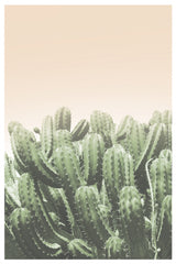 Boho Cactus No.4 Poster och Canvastavla
