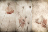 swaying gentle in the breeze Poster och Canvastavla