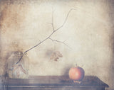 Fall, leaves, fall Poster och Canvastavla