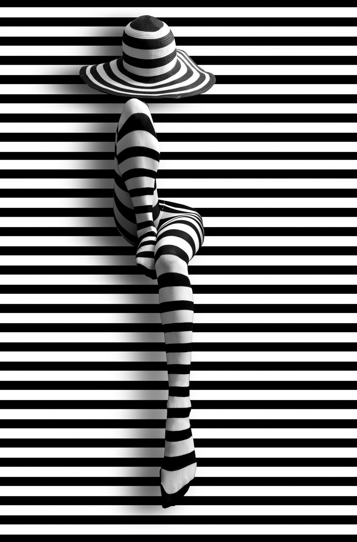 lines and lines Poster och Canvastavla