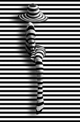 lines and lines Poster och Canvastavla