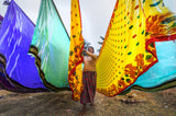 Drying cotton saree Poster och Canvastavla