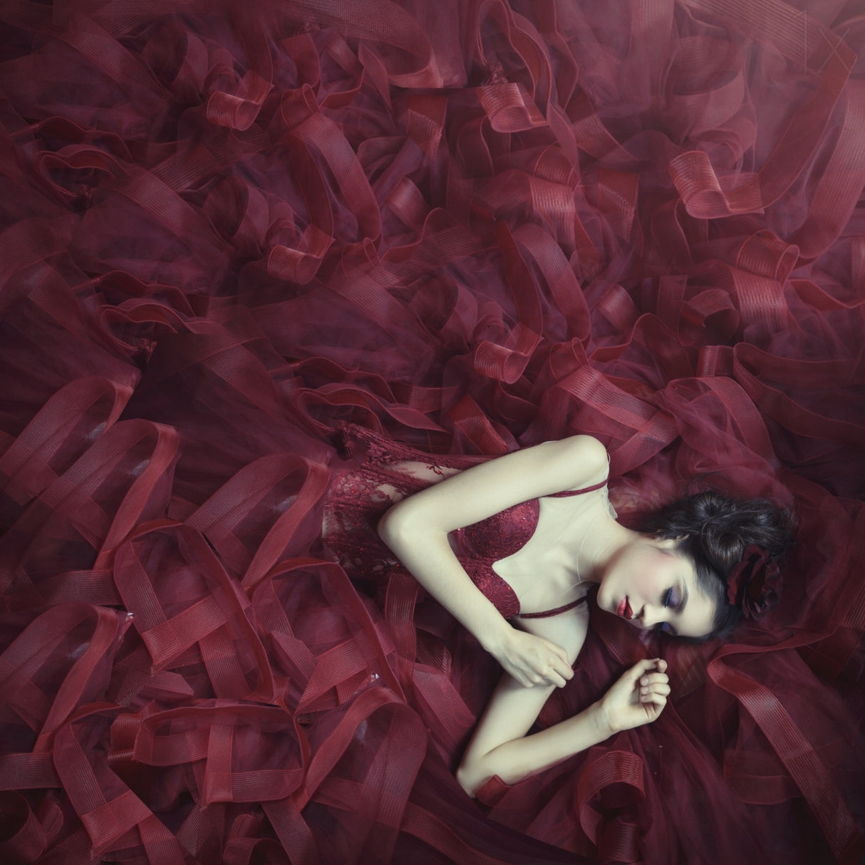 Red blossom Poster och Canvastavla
