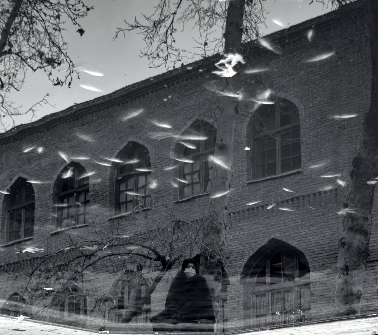 Cold reflection Poster och Canvastavla