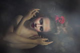 Sleeping beauty Poster och Canvastavla