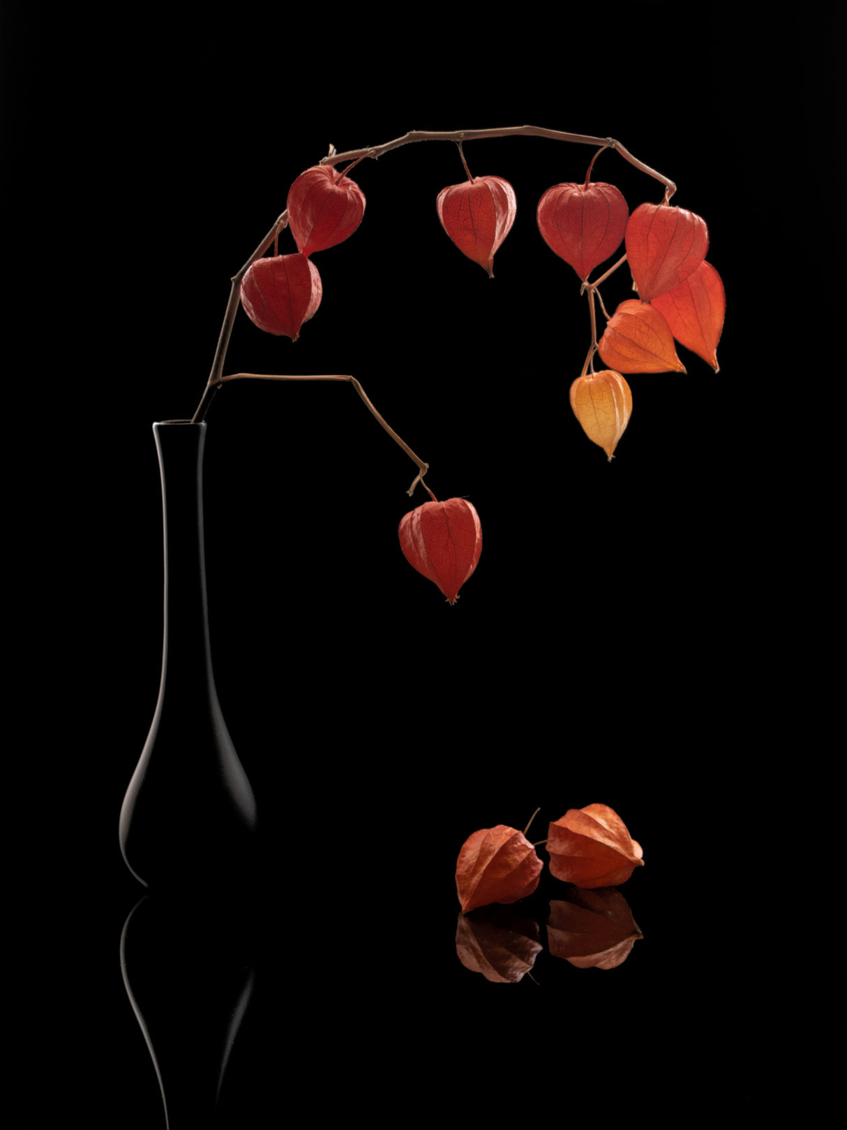 Golden Berry Poster och Canvastavla