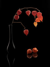 Golden Berry Poster och Canvastavla